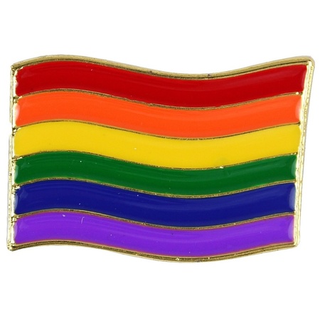 Regenboog pride vlag metalen pin/broche 4 cm